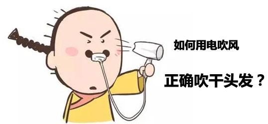 cbc06fd2-3137-4874-8d12-450878f83cca.jpg