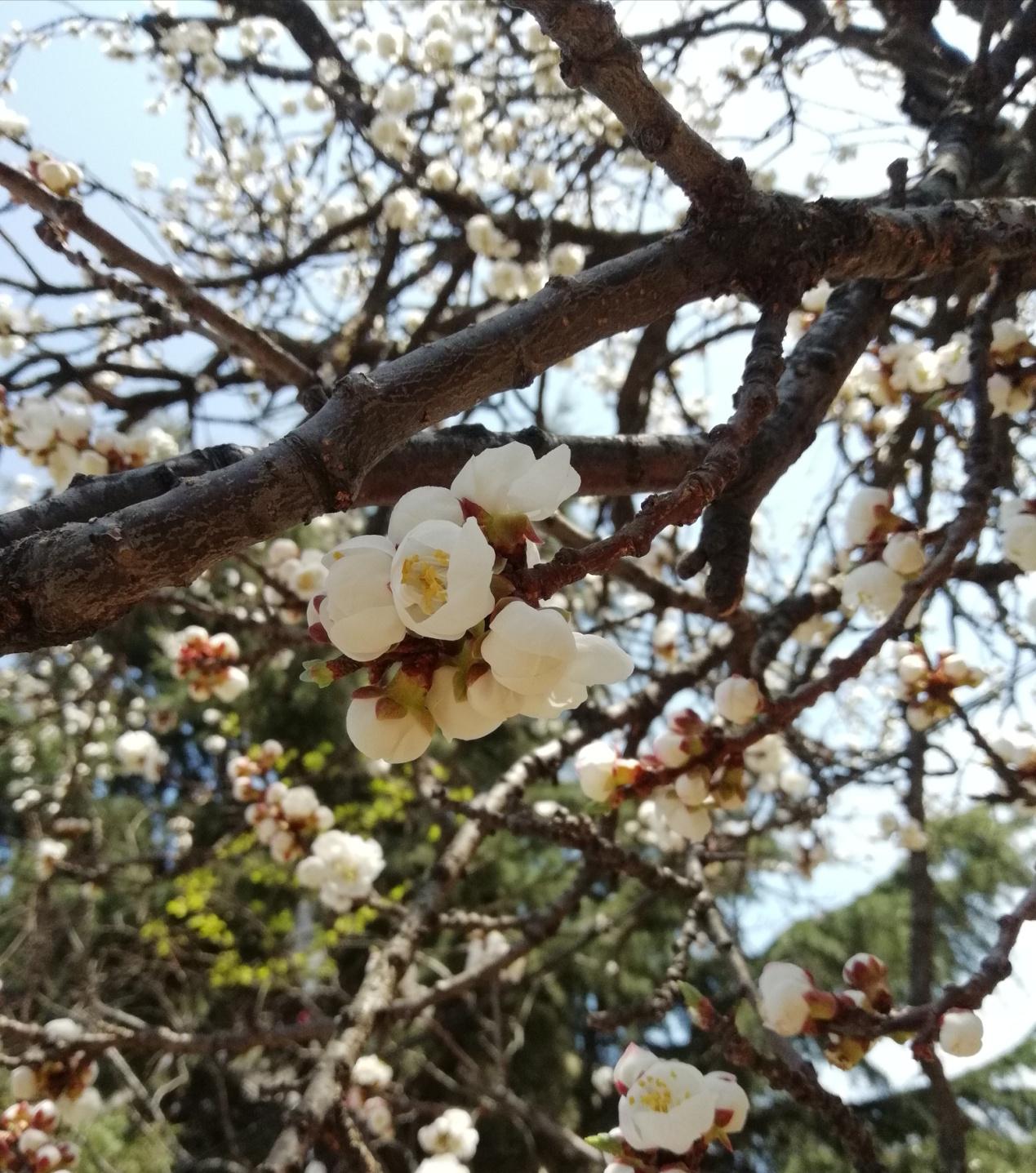 图片8.jpg