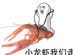 敢上机动车道玩龙虾？看完这个视频你就知道多危险了