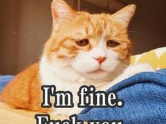 国内与国外遇到乱停车 解决方式竟然大不一样